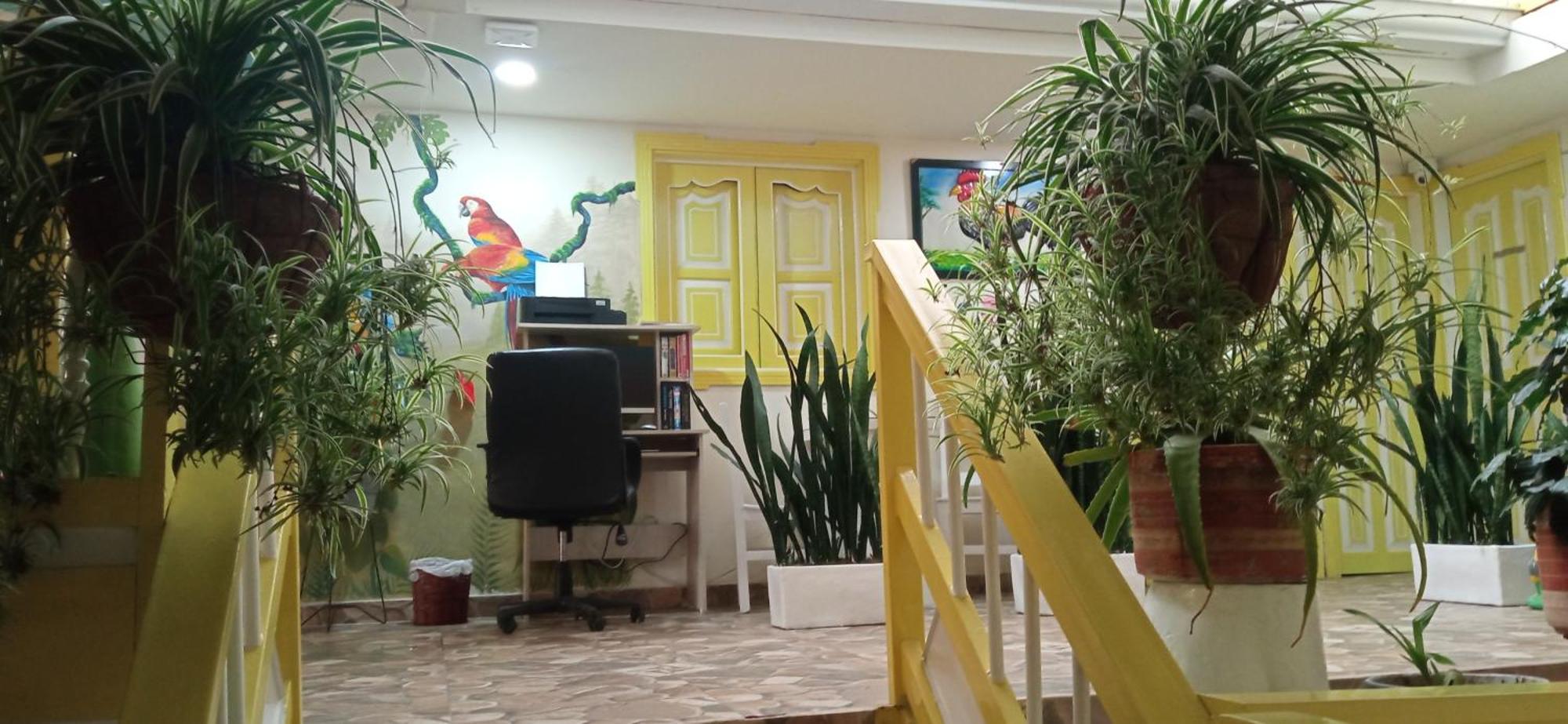 Casa Salento Hostel Εξωτερικό φωτογραφία